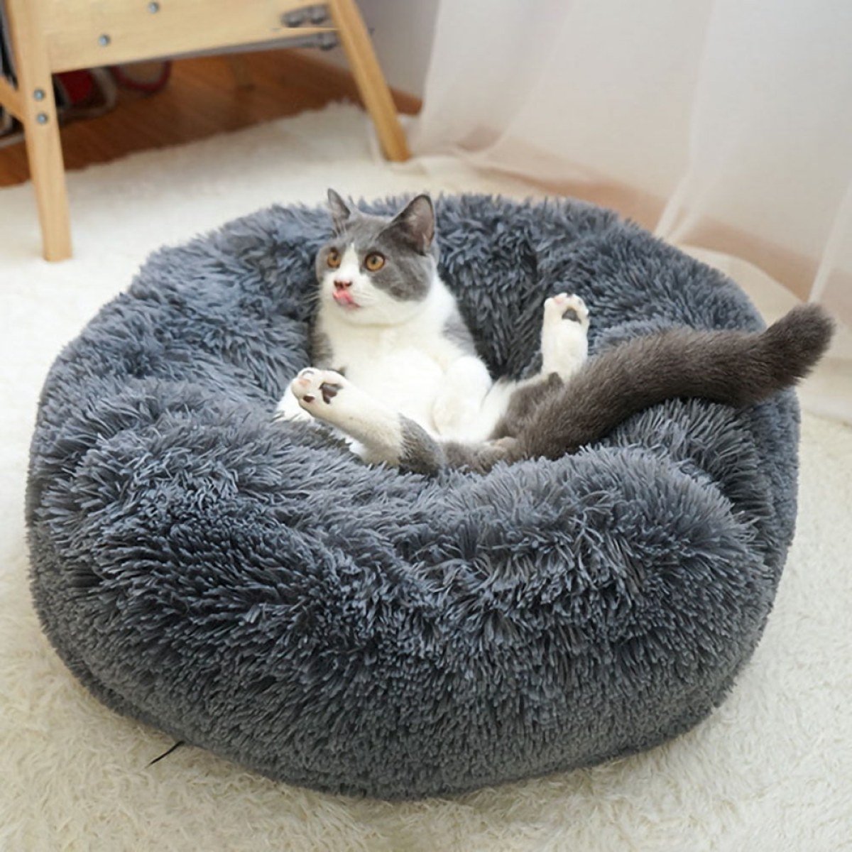 Cat Bed