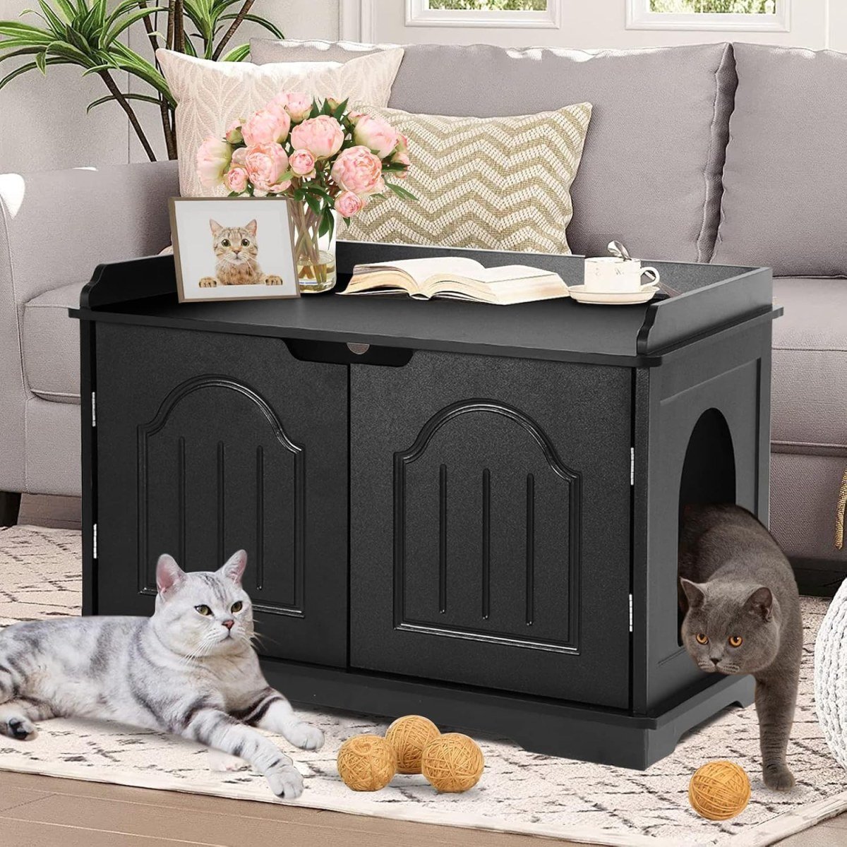 Cat Litter Box