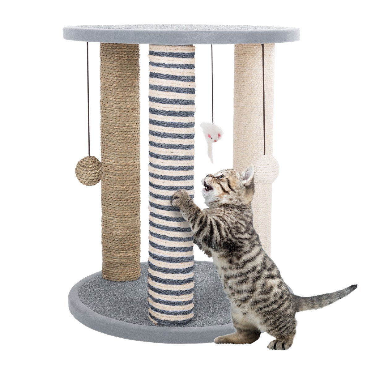 Cat Scratching Post