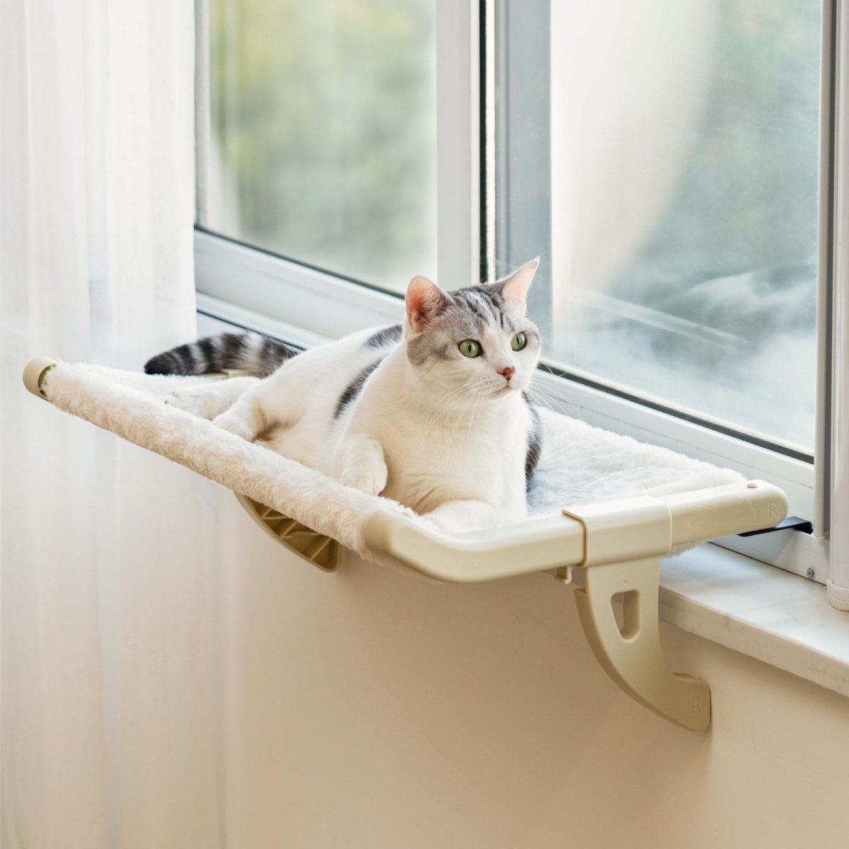 Cat Window Perch