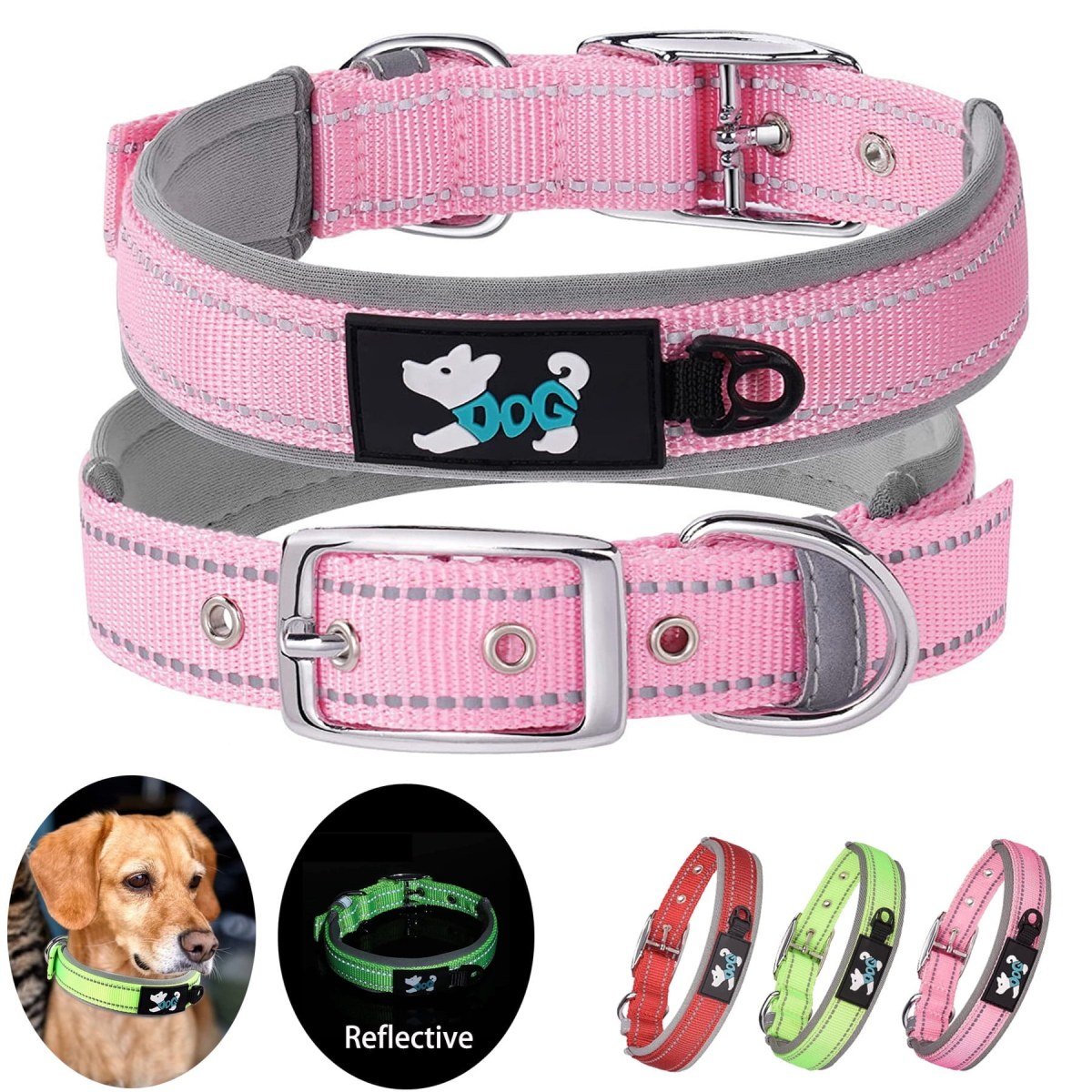 Dog Collar