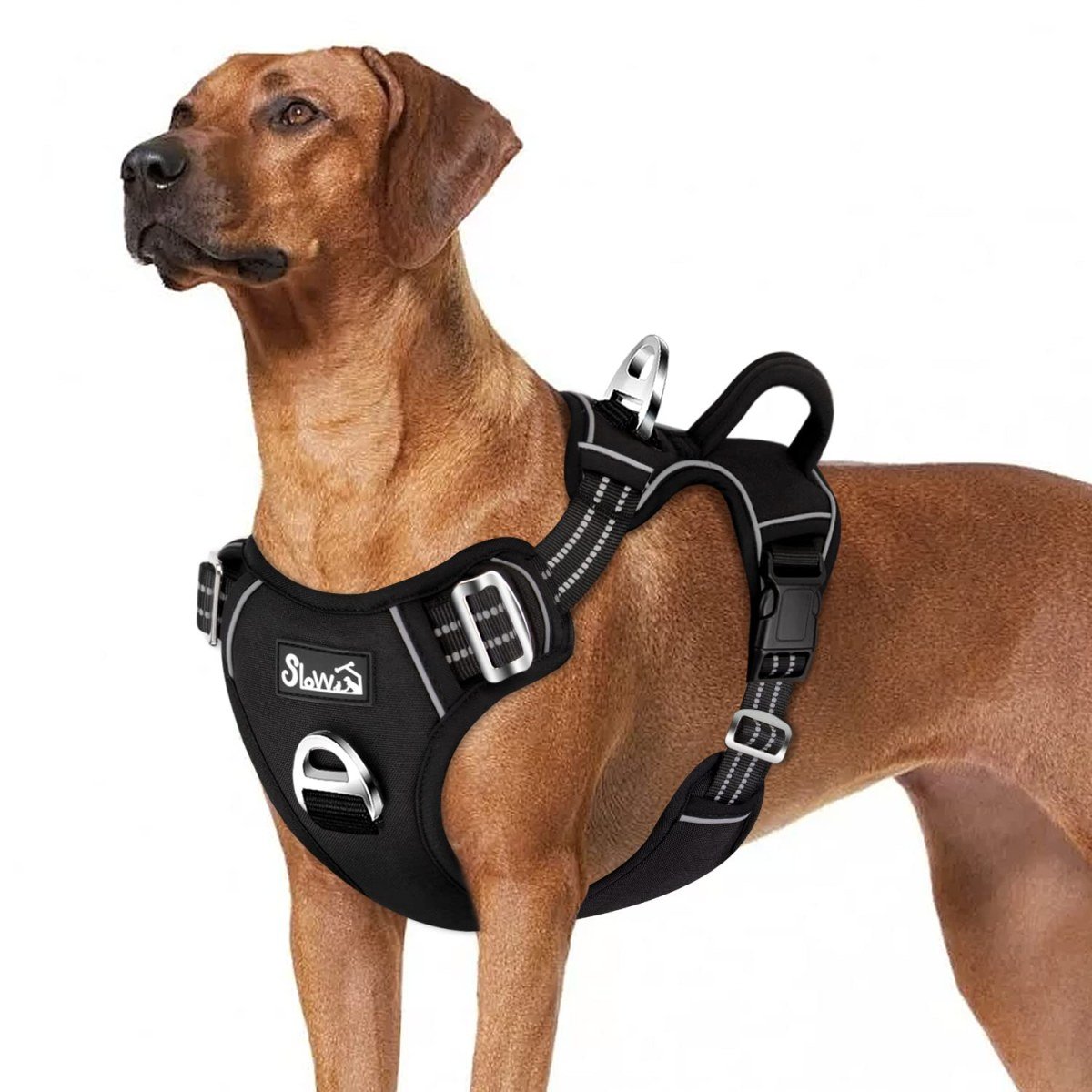 Dog Harness