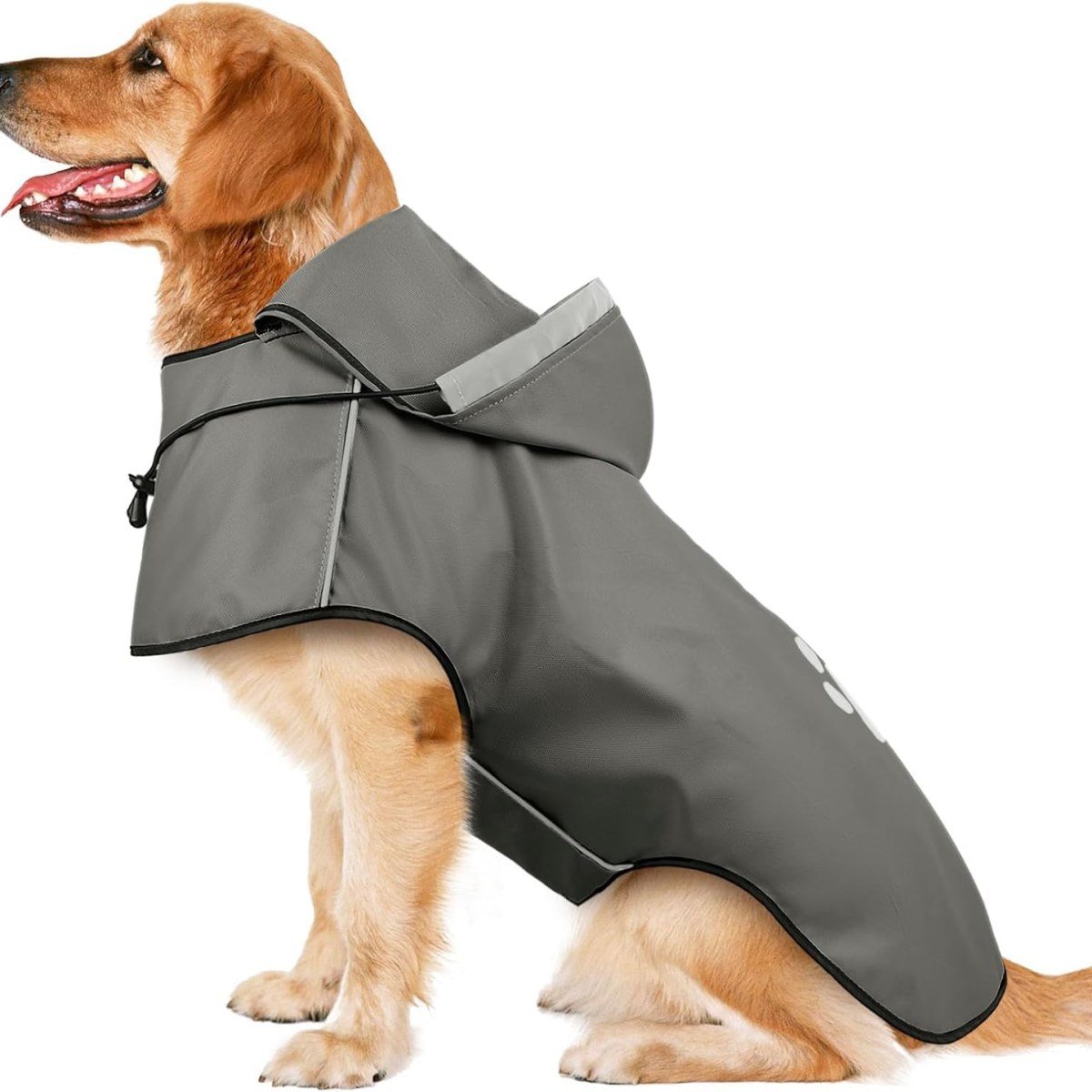 Dog Raincoat