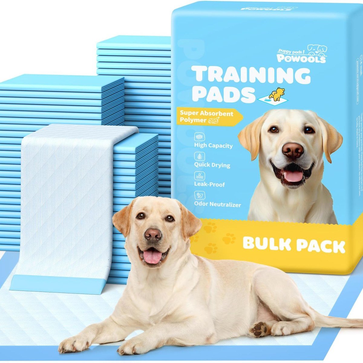Dog Training Pads